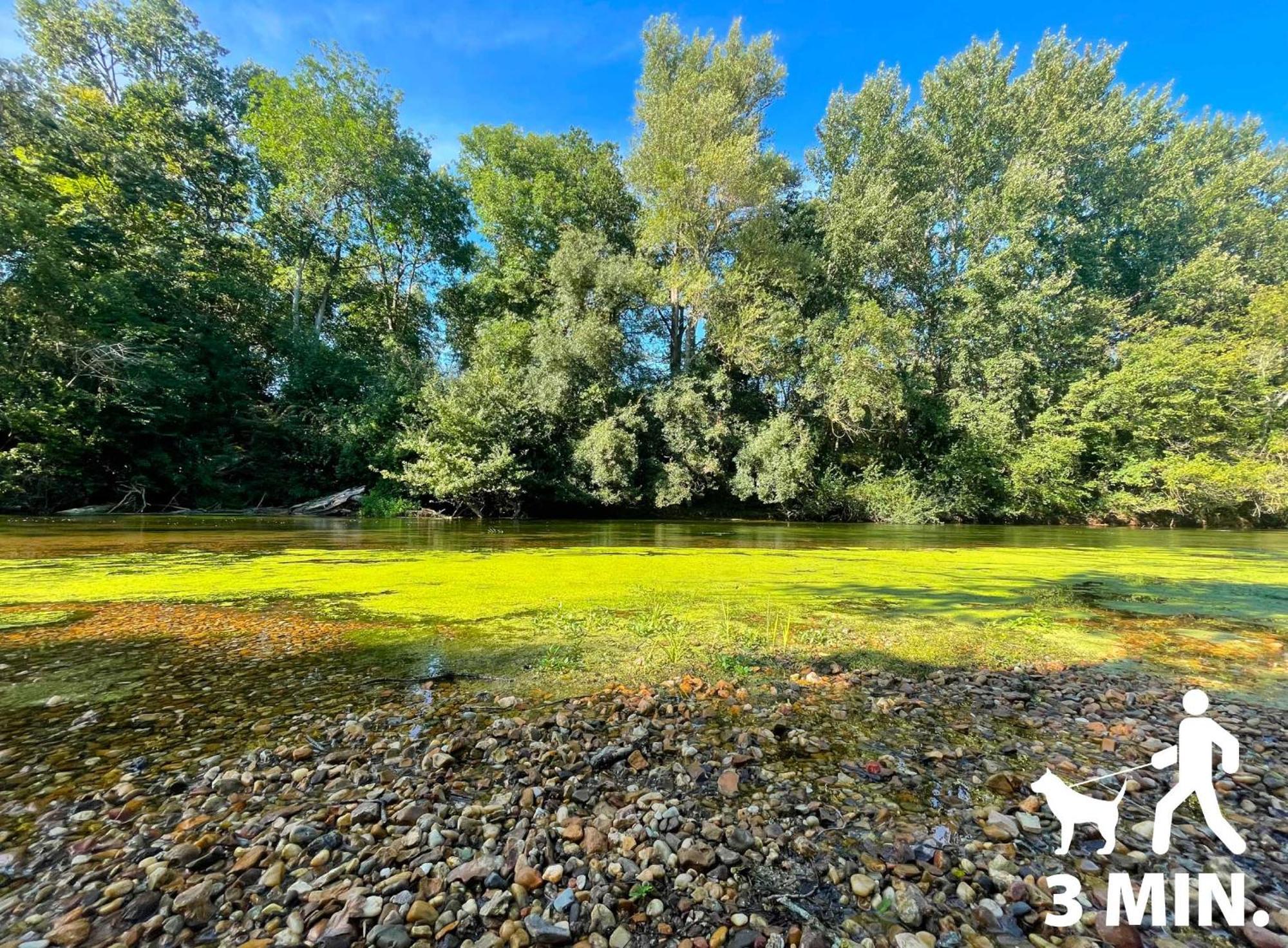 Gite Du Loiret Saint-Hilaire-Saint-Mesmin Esterno foto